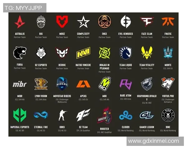 CSGO灵活性排行榜揭晓LNG战队荣登第十名引发热议